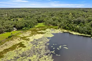 11990 SE 112th Avenue Rd, Belleview, FL 34420 - Photo 7