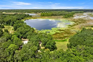 11990 SE 112th Avenue Rd, Belleview, FL 34420 - Photo 3