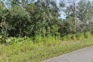 Tbd Cedar St, Paisley, FL 32767 - Photo 1