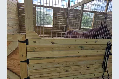 11670 SE 55th Lane, Morriston, FL 32668 - Photo 29