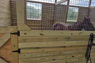 11670 SE 55th Ln, Morriston, FL 32668 - Photo 29