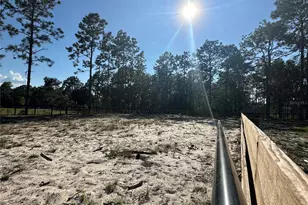 11670 SE 55th Ln, Morriston, FL 32668 - Photo 27