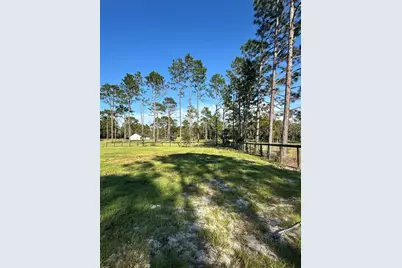 11670 SE 55th Lane, Morriston, FL 32668 - Photo 15
