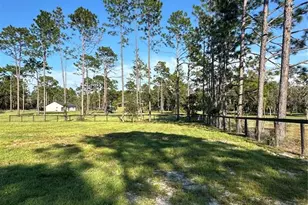 11670 SE 55th Ln, Morriston, FL 32668 - Photo 15