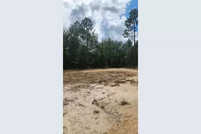 13990 NE 5 Th Street, Williston, FL 32696 - Photo 17