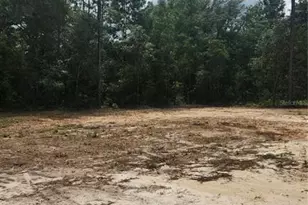 13990 NE 5 Th St, Williston, FL 32696 - Photo 17