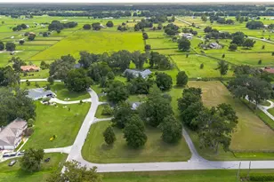 12049 NE 8th Ct, Ocala, FL 34479 - Photo 51