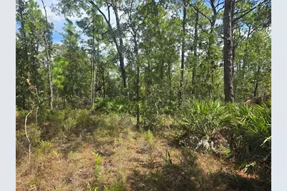 7441 N June Terrace, Dunnellon, FL 34434 - Photo 3