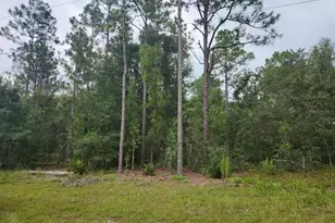 Lot 24 SW 89th Circle, Ocala, FL 34473 - Photo 1