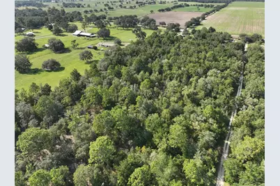 00 NE 150th Terrace, Williston, FL 32696 - Photo 9