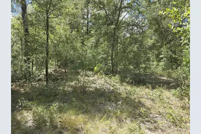 00 NE 150th Terrace, Williston, FL 32696 - Photo 3