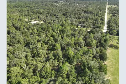 00 NE 150th Terrace, Williston, FL 32696 - Photo 11