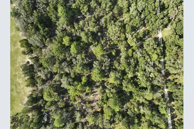 00 NE 150th Terrace, Williston, FL 32696 - Photo 13