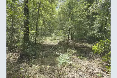 00 NE 150th Terrace, Williston, FL 32696 - Photo 5