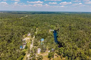 2008 River Road NE, Steinhatchee, FL 32359 - Photo 15