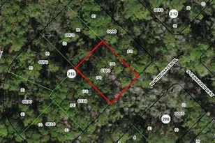 8275 W Windhaven Pl, Homosassa, FL 34448 - Photo 1