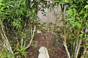 40220 Bowtie Dr, Lady Lake, FL 32159 - Photo 51