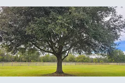 40220 Bowtie Drive, Lady Lake, FL 32159 - Photo 45