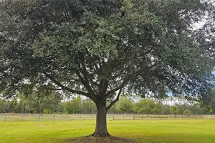 40220 Bowtie Dr, Lady Lake, FL 32159 - Photo 45