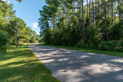 Tbd NW 88th Avenue Rd, Reddick, FL 32686 - Photo 7