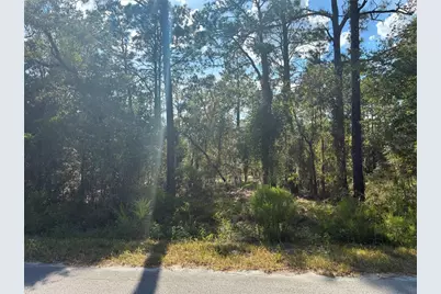 Redwing Road, Dunnellon, FL 34430 - Photo 1