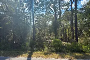 Redwing Rd, Dunnellon, FL 34430 - Photo 1