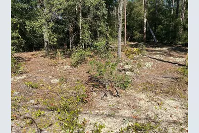 Tbd Lakeland Heights Avenue, Dunnellon, FL 34431 - Photo 5