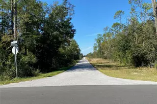 Tbd Lakeland Heights Ave, Dunnellon, FL 34431 - Photo 1