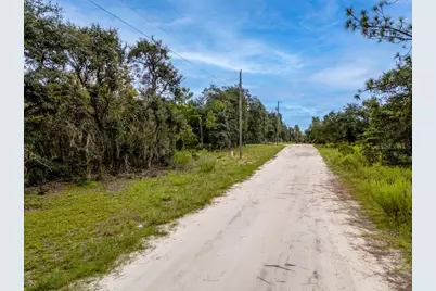 00 NE 82nd Place, Bronson, FL 32621 - Photo 3