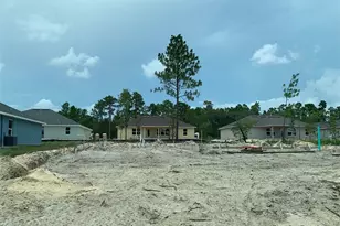 2185 W Say Dr, Citrus Springs, FL 34434 - Photo 3