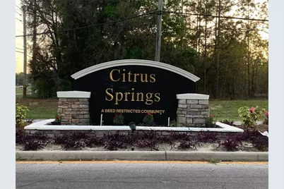 2173 W Say Drive, Citrus Springs, FL 34434 - Photo 3