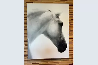 4701 NW 51st Terrace Road, Ocala, FL 34482 - Photo 49