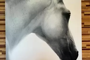 4701 NW 51st Ter Rd, Ocala, FL 34482 - Photo 49