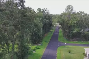 17600 SW 113th Pl, Dunnellon, FL 34432 - Photo 33