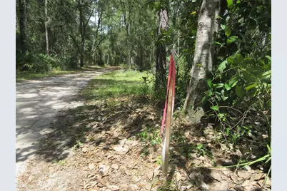 13820 NE 46th Street, Silver Springs, FL 34488 - Photo 17