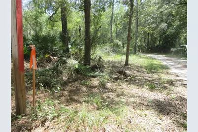 13820 NE 46th Street, Silver Springs, FL 34488 - Photo 9