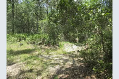 13820 NE 46th Street, Silver Springs, FL 34488 - Photo 15