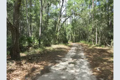 13820 NE 46th Street, Silver Springs, FL 34488 - Photo 19