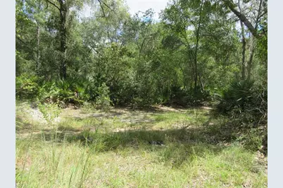 13820 NE 46th Street, Silver Springs, FL 34488 - Photo 11