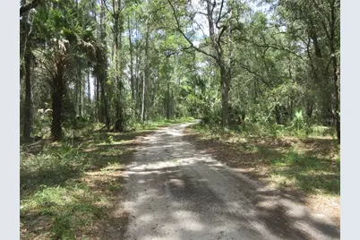 13820 NE 46th Street, Silver Springs, FL 34488 - Photo 7