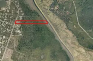 591 SE Fisher Rd, Ocklawaha, FL 32179 - Photo 3