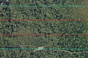 591 SE Fisher Rd, Ocklawaha, FL 32179 - Photo 23