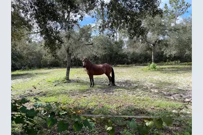 591 SE Fisher Road, Ocklawaha, FL 32179 - Photo 21