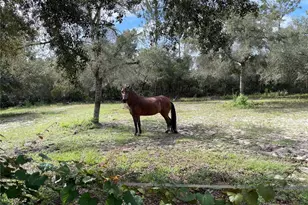 591 SE Fisher Rd, Ocklawaha, FL 32179 - Photo 19