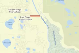 591 SE Fisher Rd, Ocklawaha, FL 32179 - Photo 21