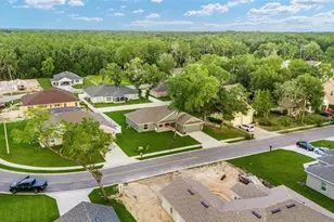 4099 NE 58th Cir, Silver Springs, FL 34488 - Photo 51