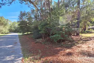 9295 SW 203rd Ave, Dunnellon, FL 34431 - Photo 35