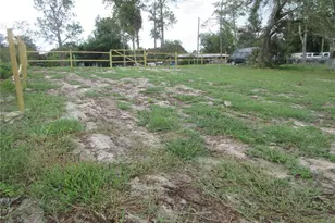 Tbd SE 19th St, Silver Springs, FL 34488 - Photo 13