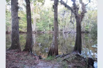 Tbd SE 19th Street, Silver Springs, FL 34488 - Photo 25