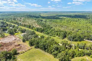 453 Old Hawthorne Rd, Hawthorne, FL 32640 - Photo 65